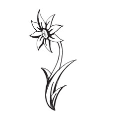 flower blooming sketch vector design