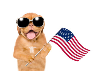 Mastiff puppy wearing sunglasses celebrating  independence day 4th of july with USA flag. isolated on white background