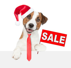 Jack russell terrier puppy wearing red christmas hat holds sales symbol above empty white banner. isolated on white background