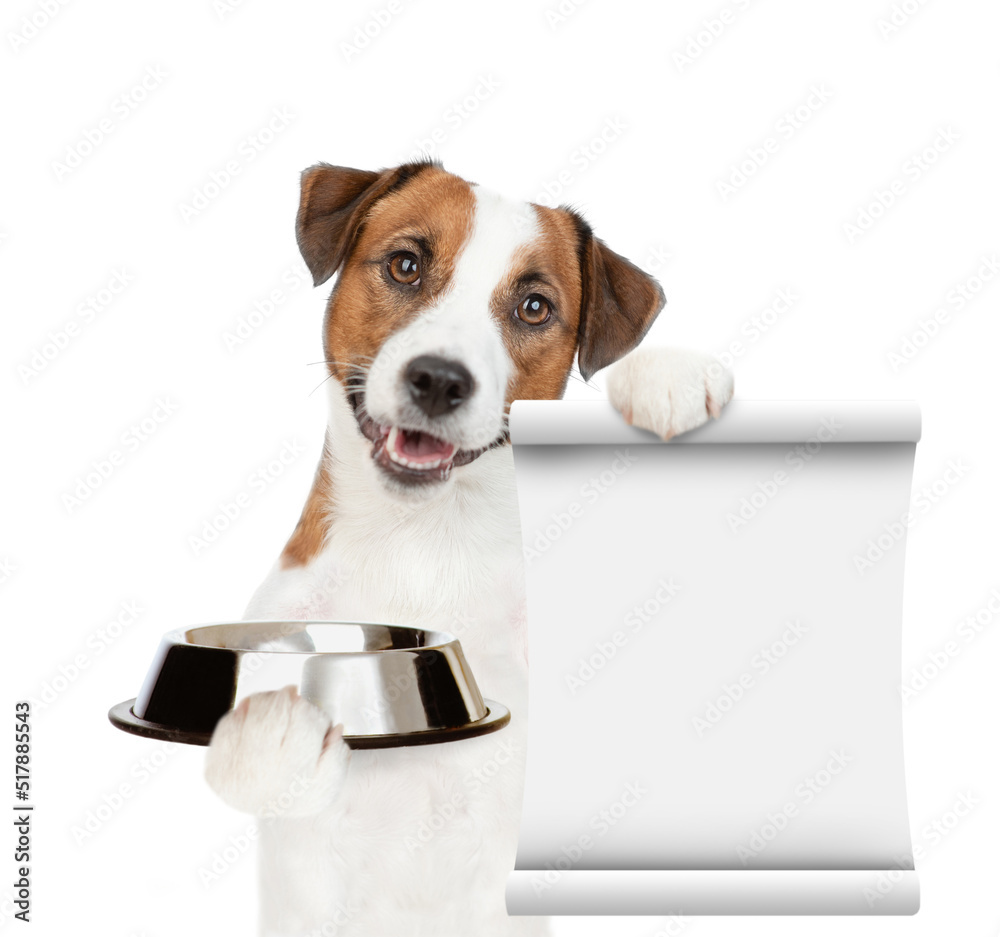 Poster hungry jack russell terrier puppy holds empty bowl and shows empty list. isolated on white backgroun