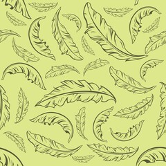 Banana Leaf Hand Drawing Seamless Pattern
