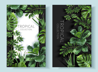 Vector tropical frames with green leaves on black background. Luxury exotic botanical design for cosmetics, wedding invitation, summer banner, spa, perfume, beauty, travel, packaging design - 517892720