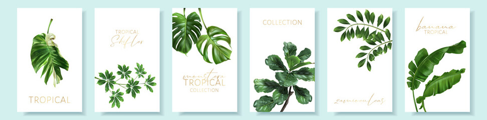 Vector tropical cards set with green leaves on white background. Luxury exotic botanical design for cosmetics, wedding invitation, summer banner, spa, perfume, beauty, travel, packaging design