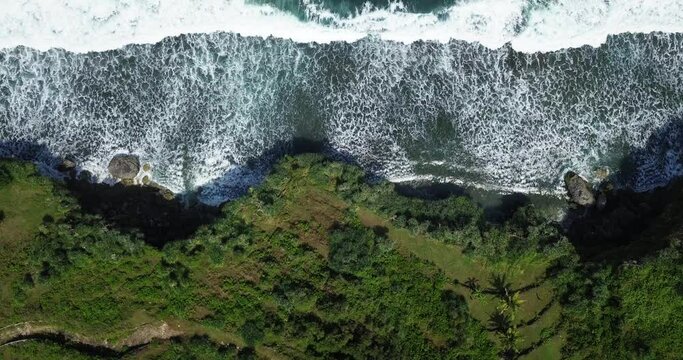 aerial cliff overgrown by tress border with the sea. drone shot of sea wave in Indonesia. sea ​​foam 4K video.
