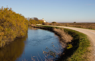 Fototapeta na wymiar Autumn rural landscape. Small canal next to a dirt road. High quality image.