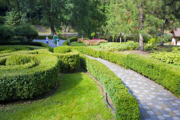 Ornamental plants in the shape of a spiral