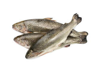 Raw Trout Isolated