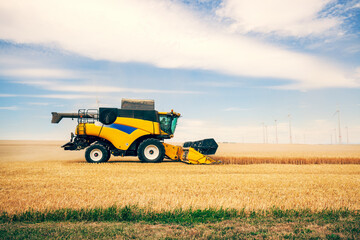 Combine Harvester Cutting Wheat, modern combine harvester working on a wheat crop. combine...