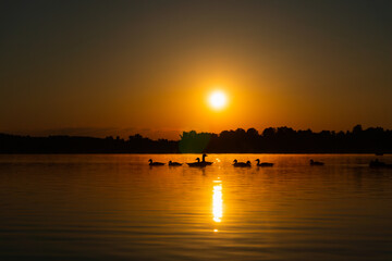 Naklejka premium a few ducks chillin in a lake while the sunrise, ducks are silhouettes