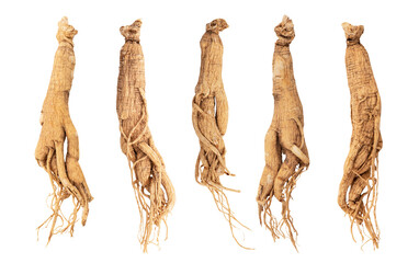 Ginseng or Panax ginseng isolated on white background with clipping path.