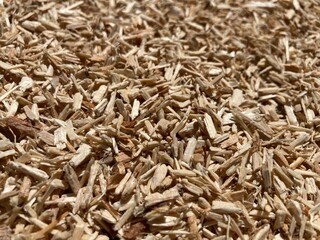 a pile of many wood chips