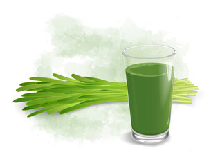 Wheat Grass vector illustration with wheatgrass juice 