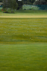lawn with golf balls. Links 