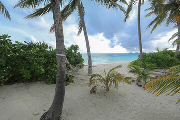 hammock, palm trees on white sand on a tropical island