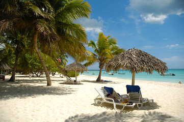Tropical beach. The Dominican Republic, Saona Island - 517898916