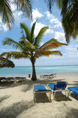 Tropical beach. The Dominican Republic, Saona Island - 517898929