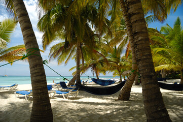 Hammocks Tropical beach. The Dominican Republic, Saona Island - 517898930