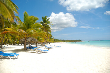 Tropical beach. The Dominican Republic, Saona Island - 517898938