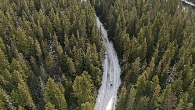 Aerial shot of a Forest Road in British Columbia