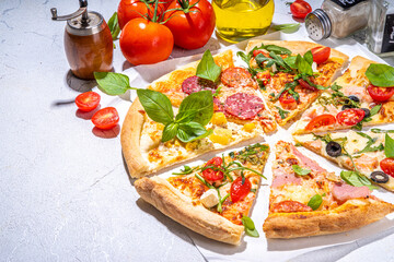 Various taste type pizza slices with different traditional filling - seafood fish salmon, Hawaiian with chicken, vegetarian vegetable margarita, meat carbonara, salami on white grey background