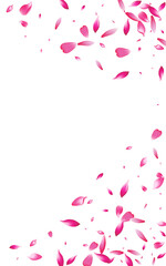 Red Blossom Japanese Vector White Background.