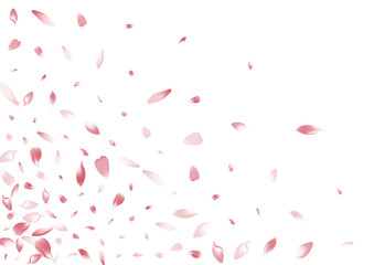 Fototapeta na wymiar Transparent Rose Petal Vector White Background.