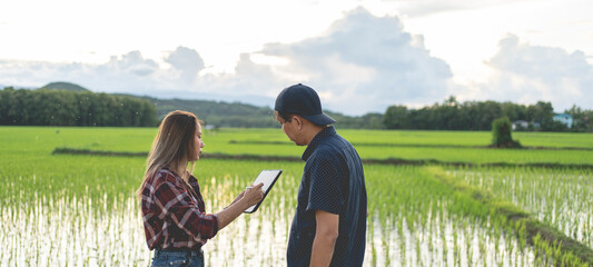 Female and male farmers are consulting using tablets to analyze agricultural product data....
