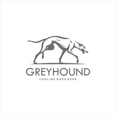 Dog Logo Design Greyhound Vector Image