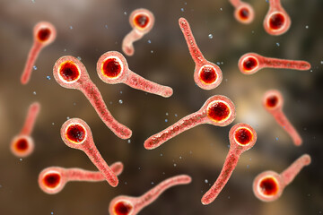 Clostridium tetani bacteria - obrazy, fototapety, plakaty