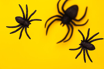 Flat lay levitation of tree black horror spiders of different sizes directions on yellow backdrop with copy space. Halloween decoration spooky background concept for holidays