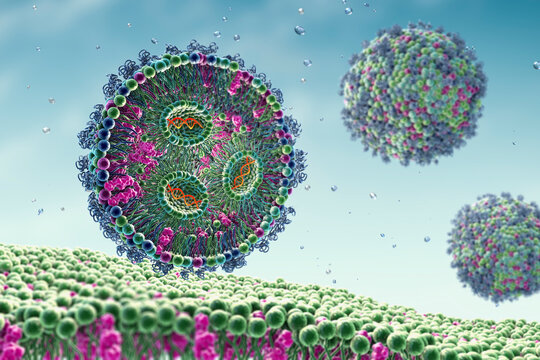 Lipid nanoparticle siRNA antiviral, 3D illustration