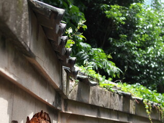 路地の崩れかけた屋根瓦
