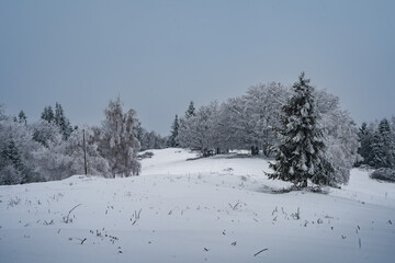 góry, beskidy, beskid, śląski, hiking, las, trees, winter, zima, śnieg, 