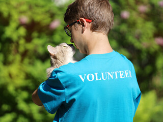 Volunteer and homeless cat. Charity concept