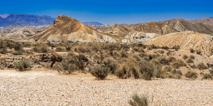 Tabernas Desert Nature Reserve, Special Protection Area, Hot Desert Climate Region, Tabernas, Almer&iacute;a, Andaluc&iacute;a, Spain, Europe