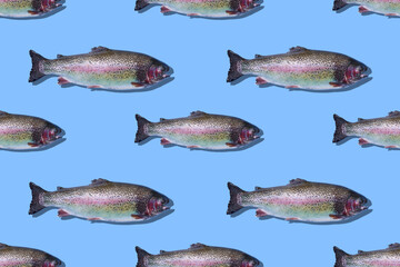 Seamless pattern of raw rainbow trout closeup isolated on blue background. Fish swim to the right.
