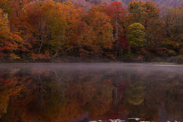 Fototapeta premium 刈込池