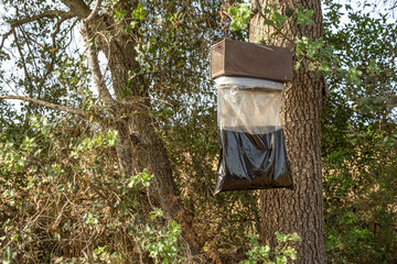 Evaluation system of organics attractants