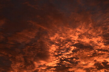 red sunset in the sky