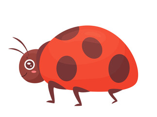Cute ladybug beetle. Ladybird insect, wildlife fauna and small animals vector illustration
