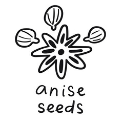 Anise seeds. Outline vector illustration on white background.
