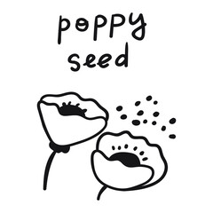 Poppy seed. Hand drawn illustration. Outline vector icon.
