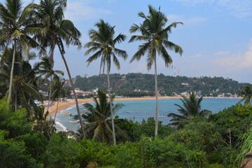 Fototapeta na wymiar travelling Sri Lanka