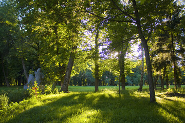 Park near Manor of the Lyzohub family in Sedniv, Ukraine	
