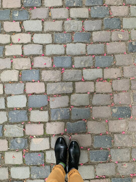 Background, paving stone texture dotted with pink chestnut flowers and a pair of shoes