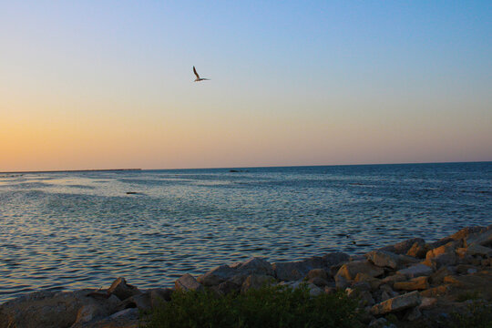 sunset over the sea - Powered by Adobe