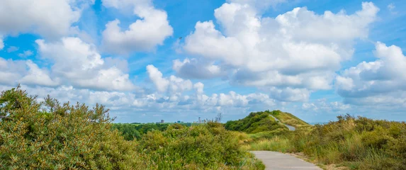 Zelfklevend Fotobehang Noordzee, Nederland Groene met gras begroeide duinen langs een zandstrand en een zee onder een blauwe hemel in fel zonlicht in de zomer, Walcheren, Zeeland, Nederland, juli 2022