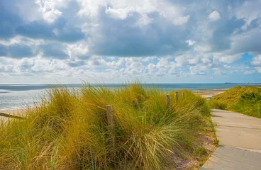 Papier Peint photo autocollant Mer du Nord, Pays-Bas Green grassy dunes along a sand beach and a sea under a blue sky in  bright sunlight in summer, Walcheren, Zeeland, the Netherlands, July, 2022