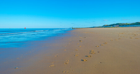 Fototapeta premium Sunlit waves and a wooden breakwater on the yellow sand of a sunny beach along a sea under a blue cloudy sky in summer, Walcheren, Zeeland, the Netherlands, July, 2022