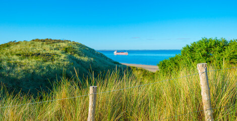 Green grassy dunes along a sand beach and a sea under a blue sky in  bright sunlight in summer,...